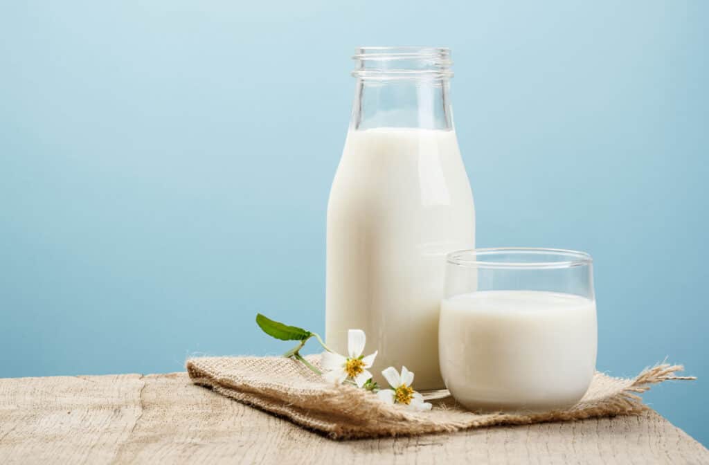 dia mundial de la leche