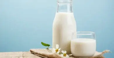 dia mundial de la leche