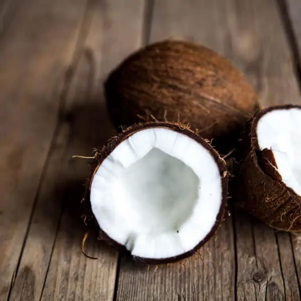 dia mundial del coco