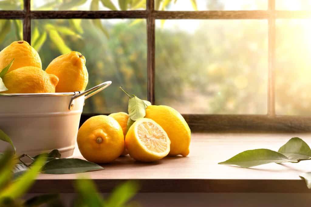 como celebrar el dia del limon