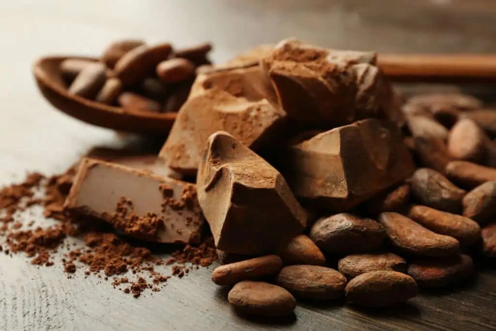 que son el cacao y el chocolate