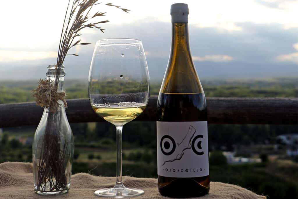 Ojo y Coíllo 2020