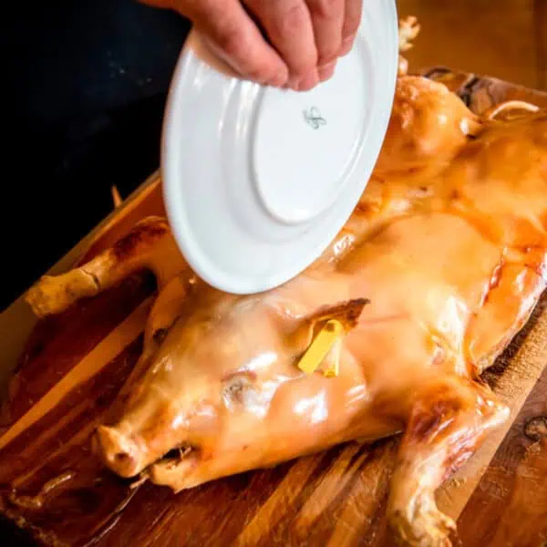 El Mejor Cochinillo de Segovia: Lugares Icónicos para Degustarlo